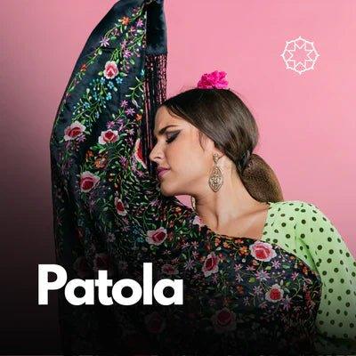 Shop Patola Sarees - EZBER