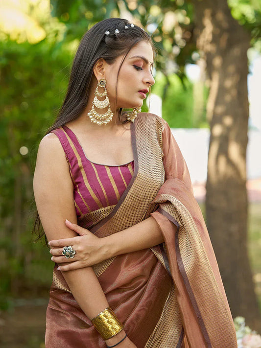 brown-tissue-saree-35437