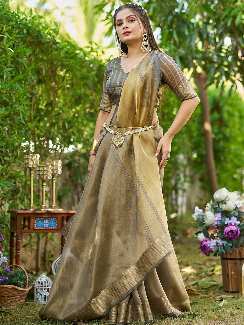 Grey Tissue Saree With Blouse Piece - EZBER