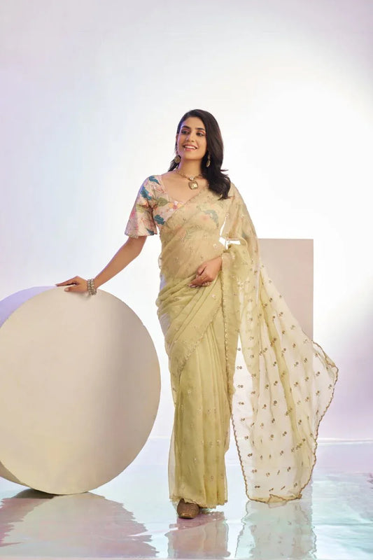 Crunchi Embroidered Work Saree With Printed Blouse Piece - EZBER