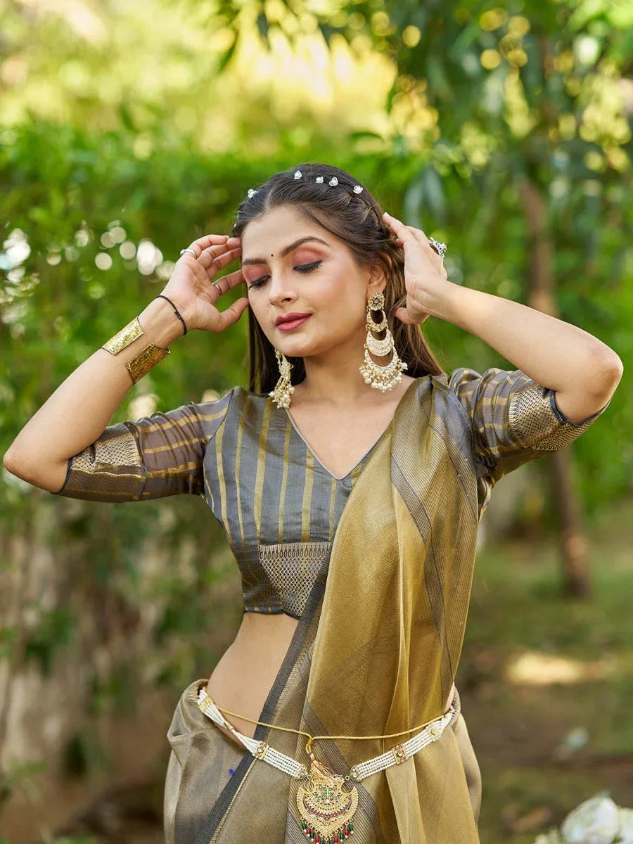 Grey Tissue Saree With Blouse Piece - EZBER