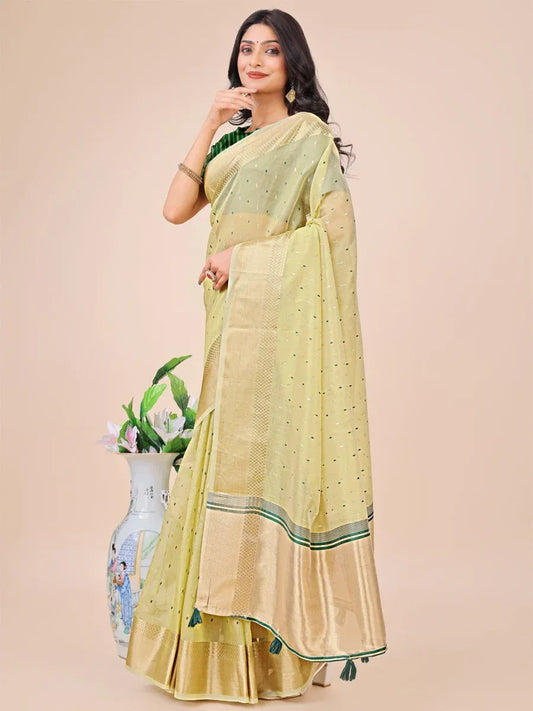 Light Green Organza Saree With Blouse Piece - EZBER