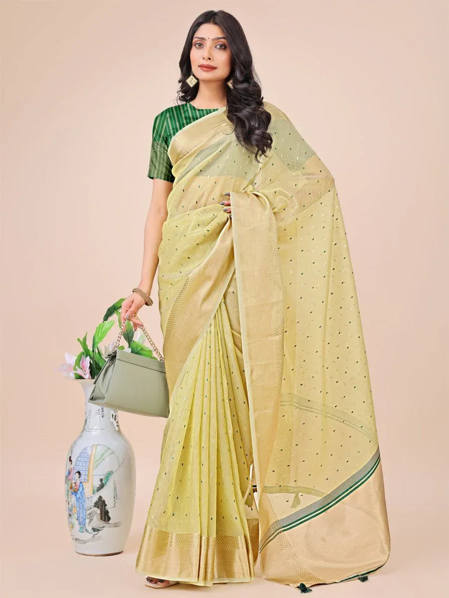 Light Green Organza Saree With Blouse Piece - EZBER