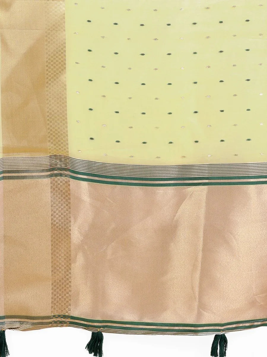 Light Green Organza Saree With Blouse Piece - EZBER