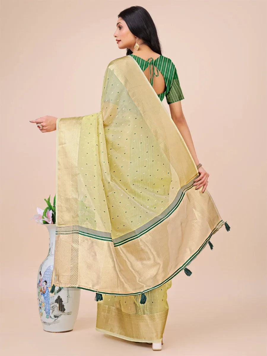 Light Green Organza Saree With Blouse Piece - EZBER