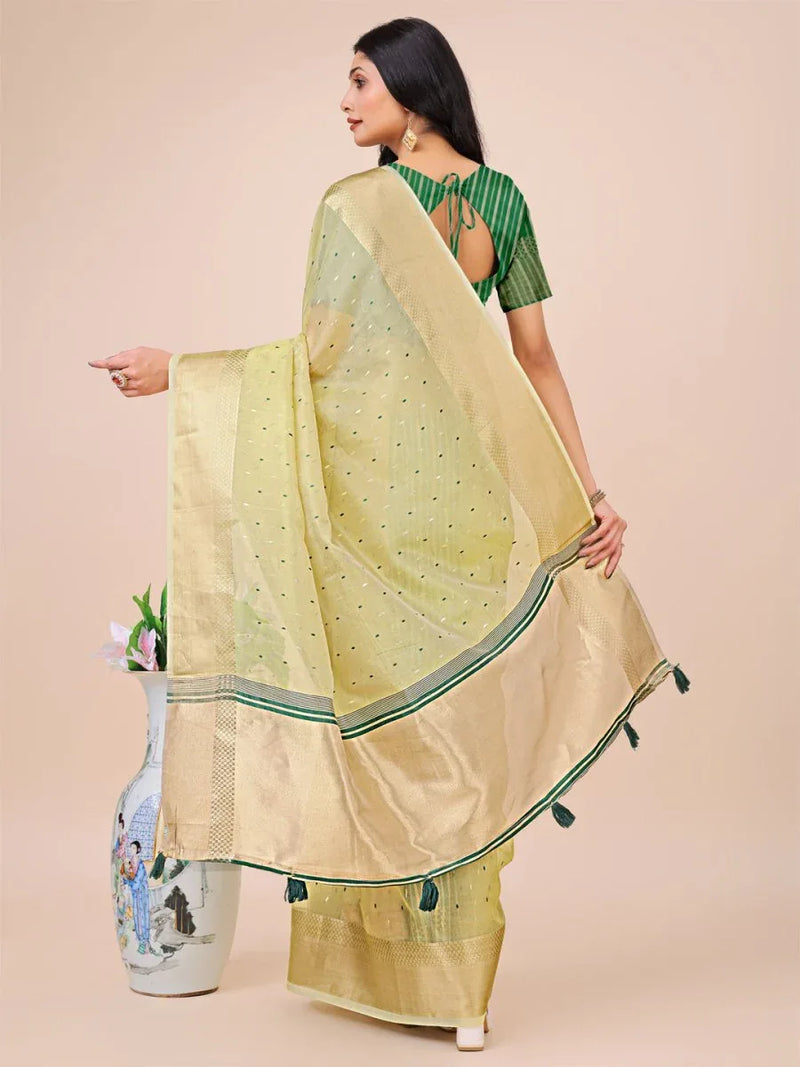 Light Green Organza Saree With Blouse Piece - EZBER