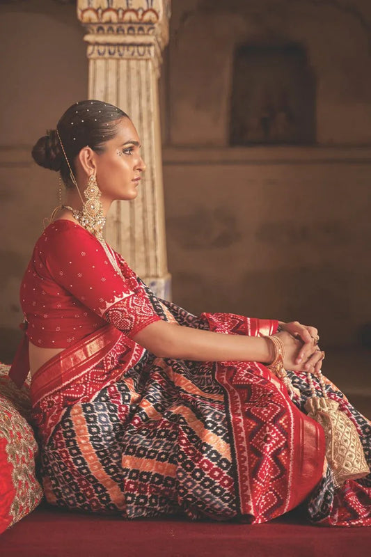 Multicolour Patola Saree - EZBER