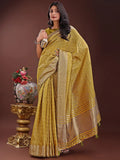 Mustrad Organza Saree With Blouse Piece - EZBER