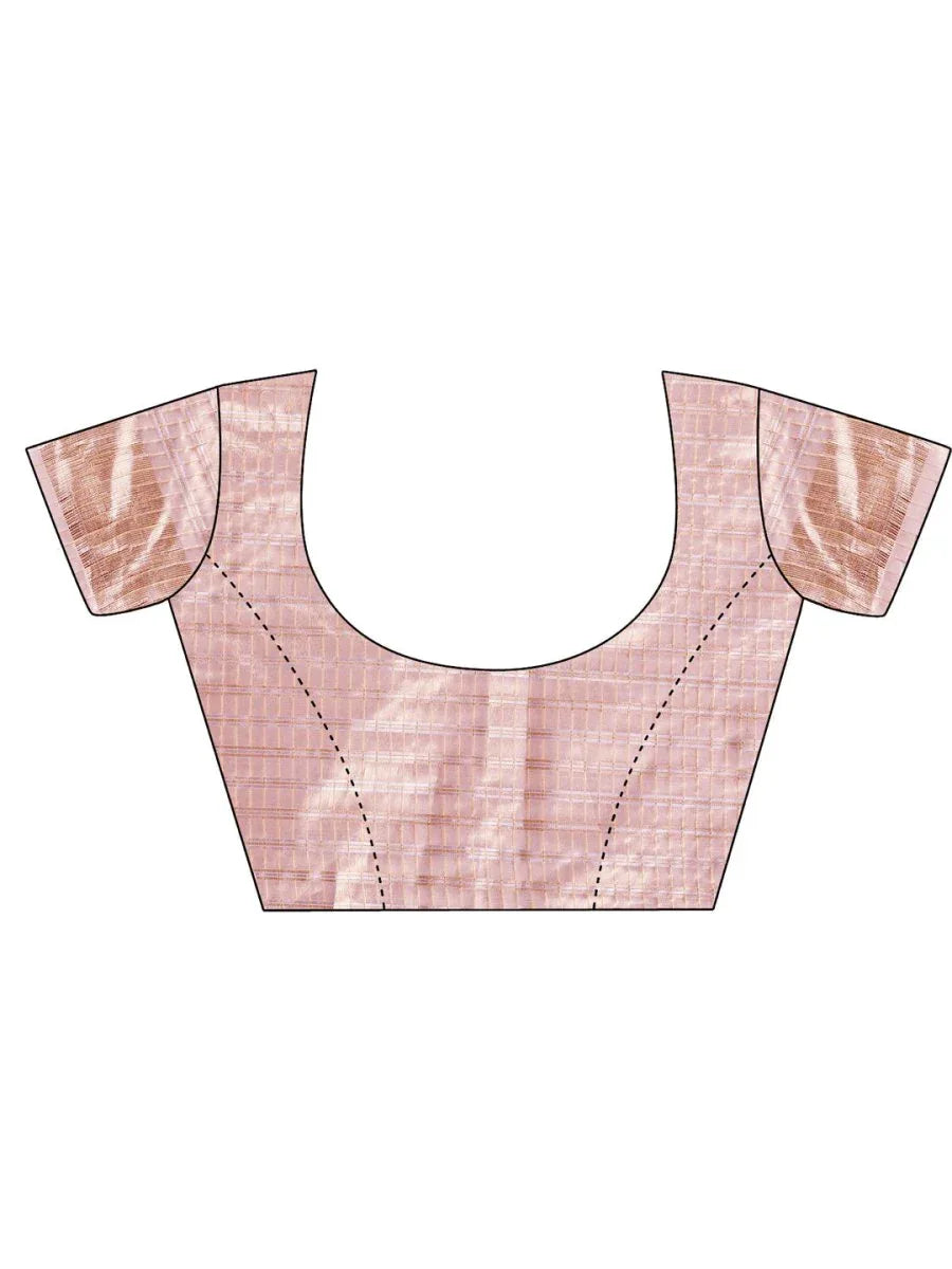 Pink CHICAGO Organza Saree with Blouse Piece - EZBER