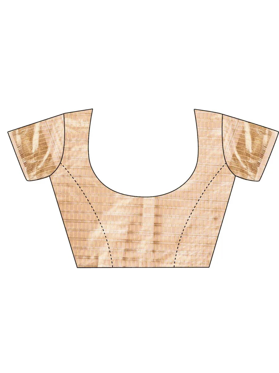 Sky Blue CHICAGO Organza Saree with Blouse Piece - EZBER