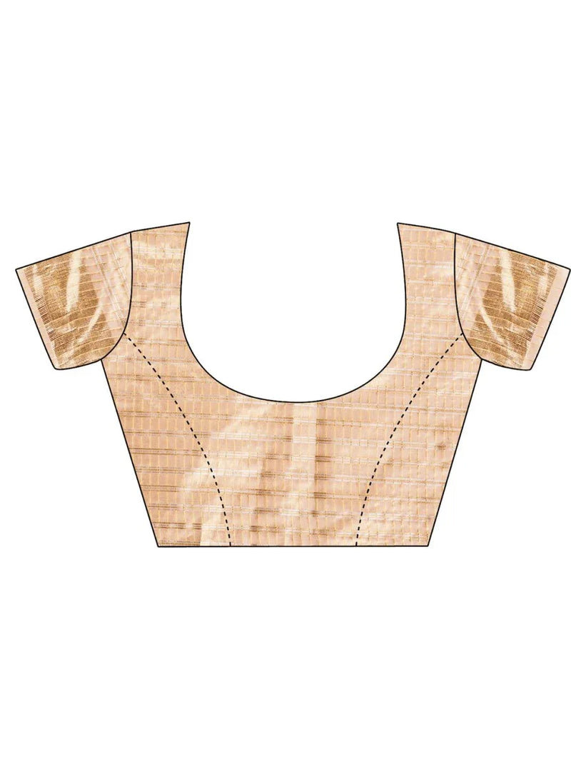 Sky Blue CHICAGO Organza Saree with Blouse Piece - EZBER