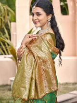 Rama Green Pochampalli Silk Brocade Saree | EZB SI04 SUPOC7003