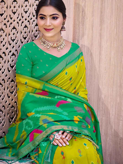 Light Green Pochampalli Silk Brocade Saree | EZB SI04 SUPOC9003
