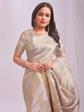 Cream PORTO Organza Saree with Blouse Piece - EZBER